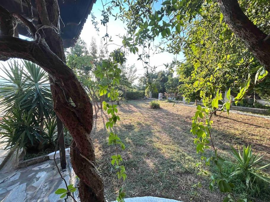 Yourlittlemiracle-Panoramicview+Firepit+Garden+Bbq أرغالاستي المظهر الخارجي الصورة